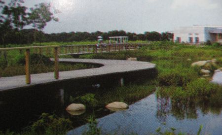 wetland-park-bridge1.jpg